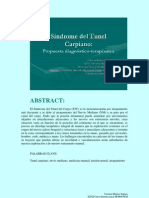 Sindrome Del Tunel Del Carpo Propuesta Diagnostico Terapeutica