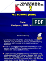 Flu Burung Hy