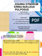 Cauda Equina Syndrom in Hernia Nukleus Pulposus: Dr. Riski Amanda