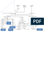 PATHWAYS CHF Kmlmpok