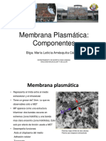 Membrana Plasmática I
