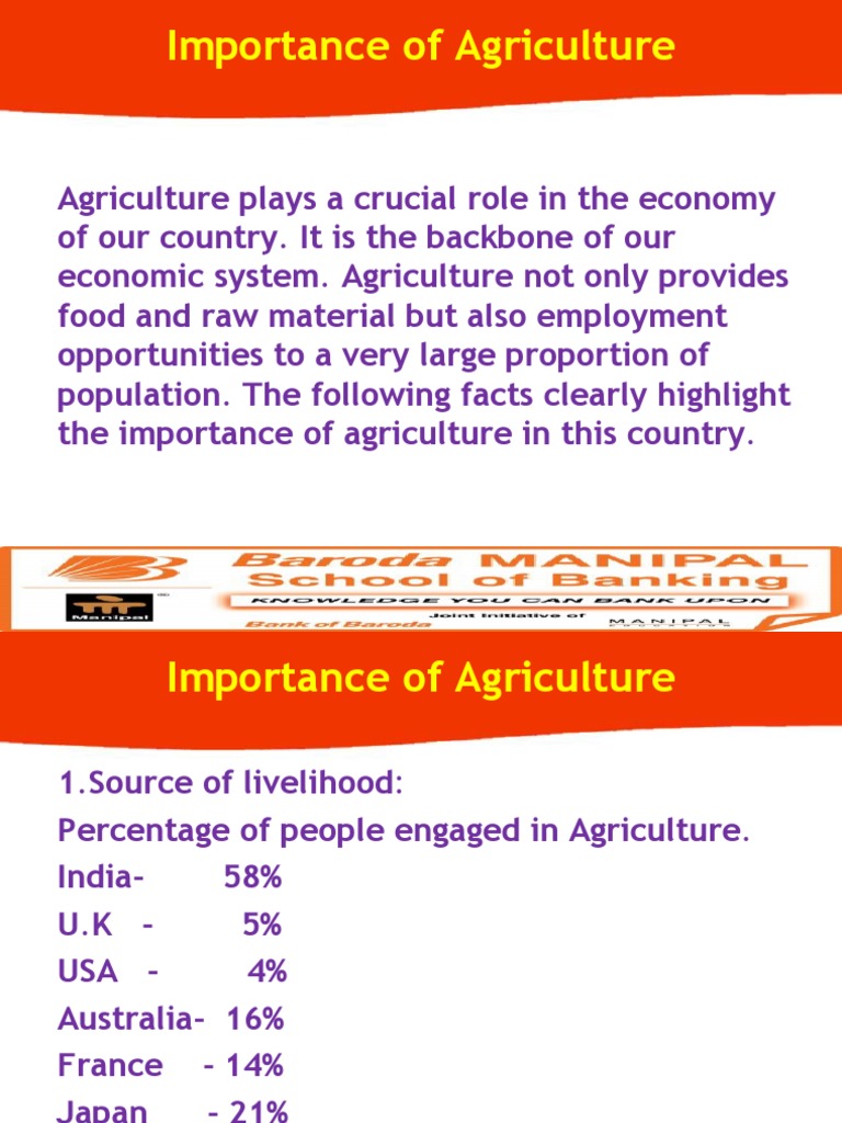 1 Importance of Agriculture | PDF | Economic Development | Agriculture