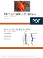 Hernia Nucleus Pulposus Inhal