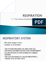 1.1 The Human Breathing Mechanism