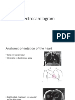 Electrocardiogram