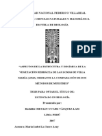 Meylin Vasquez Tesis Lomas VMT PDF