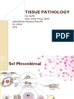 DR Riko Soft Tissue PDF