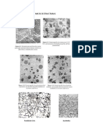 Microestructuras (1)