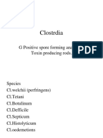 Clostrdia: G Positive Spore Forming Anaerobic Toxin Producing Rods