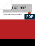 Sejarah Puma 1 