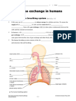 ws_ch07_e.pdf