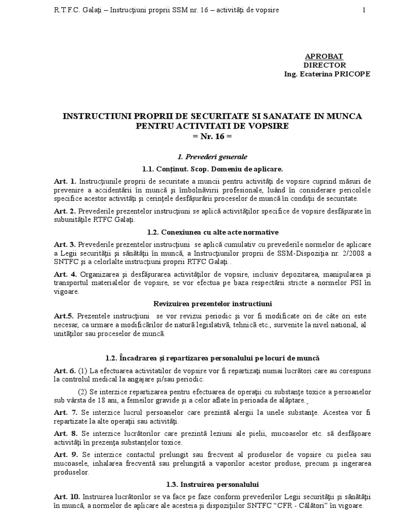 Instructiuni Proprii SSM-16-ptr Vopsire | PDF