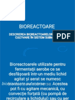 Bioreactoare PDF