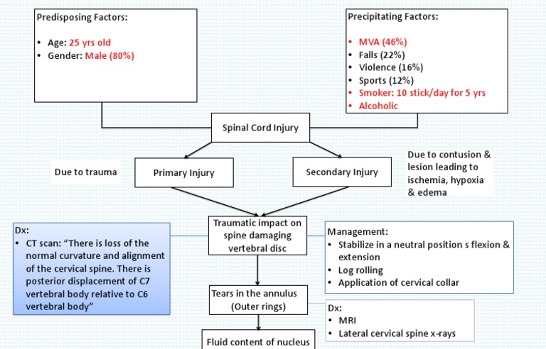 Sci Conceptmap | PDF