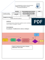 Practica 3 - Analisis Organico Elemental 1