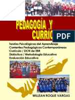 pedagogia-curriculo-roque-vargas-willean.pdf