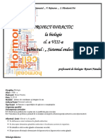 Clasa 8 Proiect - Sistemul - Endocrin - 21.02.18 Rotari