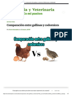 Gallinas vs codornices