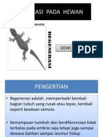 Regenerasi Pada Hewan