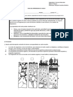 6° Evaluación Composición Del Suelo