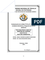 TESIS MAESTRIA - Francisca Elizabeth Cerna Rubio PDF