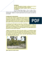 Minerales Del Suelo PDF