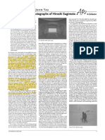 Jon Yau - Time Halted PDF