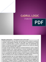 Studiu de Caz 1 _Matricea Cadru Logic