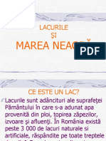 Lacurile Si Marea Neagra