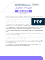 Lineamientos Operacion Virtual-15.pdf