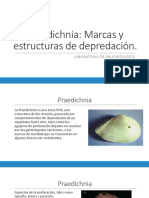 Marcas de depredación fósiles