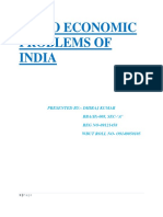 129563036-Socio-Economic-Problems-of-India.pdf