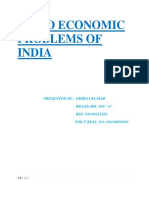 Socio Economic Problems of India PDF