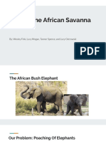 saving the african savanna