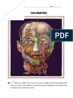 Descrição da obra de Arcimboldo usando adjetivos