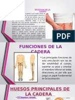 Patologia de La Cadera Diapositiva