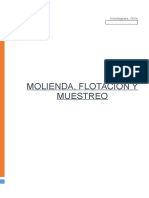 325581705 Molienda Flotacion y Muestreo