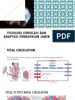 Fisiologi Sirkulasi Dan Adaptasi Pernapasan Janin