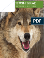 the_wolf__the_dog_first_friend_to_best_friend.pdf