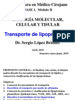 Trasporte de Lipoprot