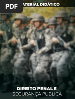 Direito Penal e Segurança Pública