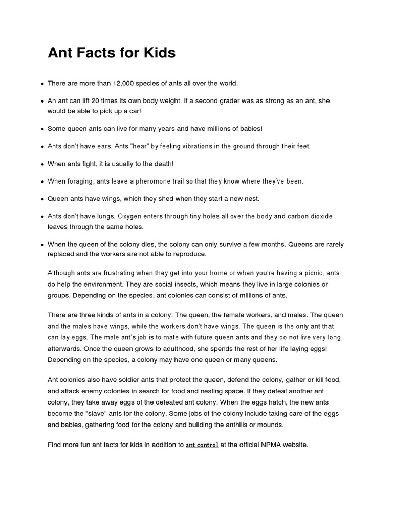 Ant Facts For Kids | PDF