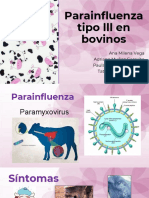 Parainfluenza Tipo Lll en Bovinos
