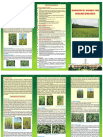 Diagnostic Guides For Sesame Diseases: Alternaria Leaf Blight of Sesame