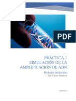 Simulación de la Amplificación de ADN mediante PCR