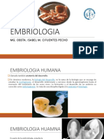 Embriologia-1 366