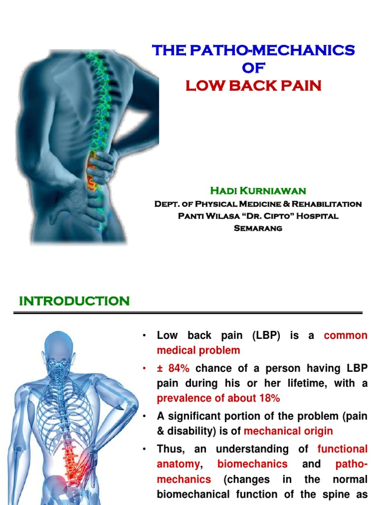 Pathomechanics of Low Back Pain | PDF | Vertebral Column | Anatomical ...