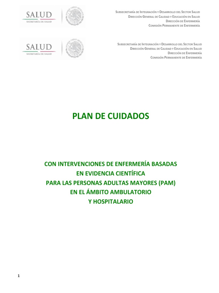 Plan de Cuidados | PDF | Adultos | Vejez