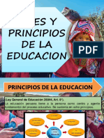 FINES Y PRINCIPIOS.pptx