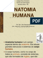 Cortes Anatomicos e Posições